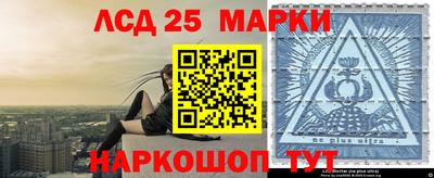 крисы Кулебаки