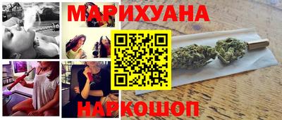 крисы Кулебаки