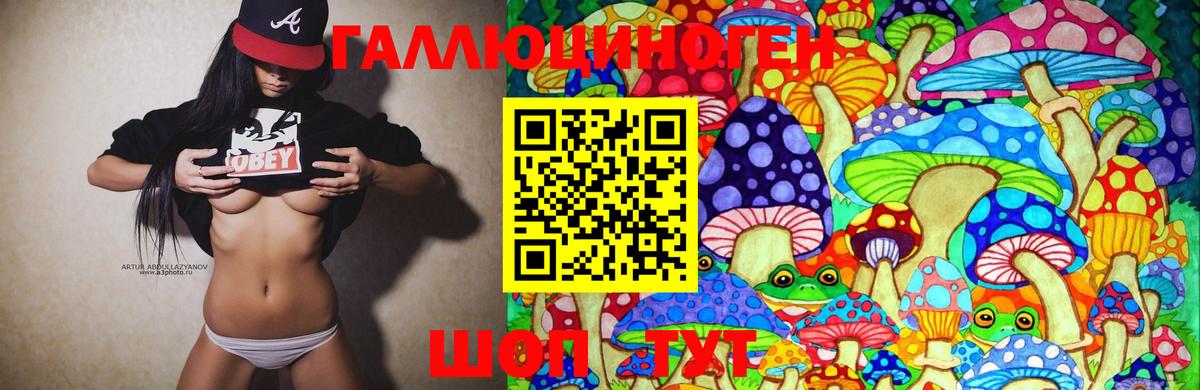 Псилоцибиновые грибы мицелий Елабуга
