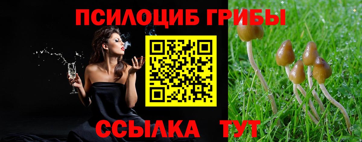 Елабуга  Галлюциногенные грибы Magic Shrooms  Вход с VPN 